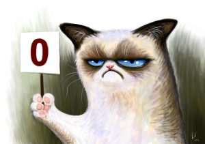 Grumpy Cat estimates