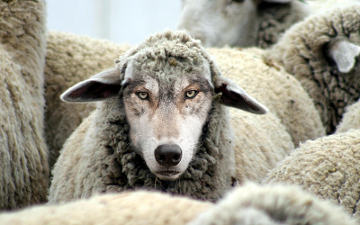 project manager as scrum master