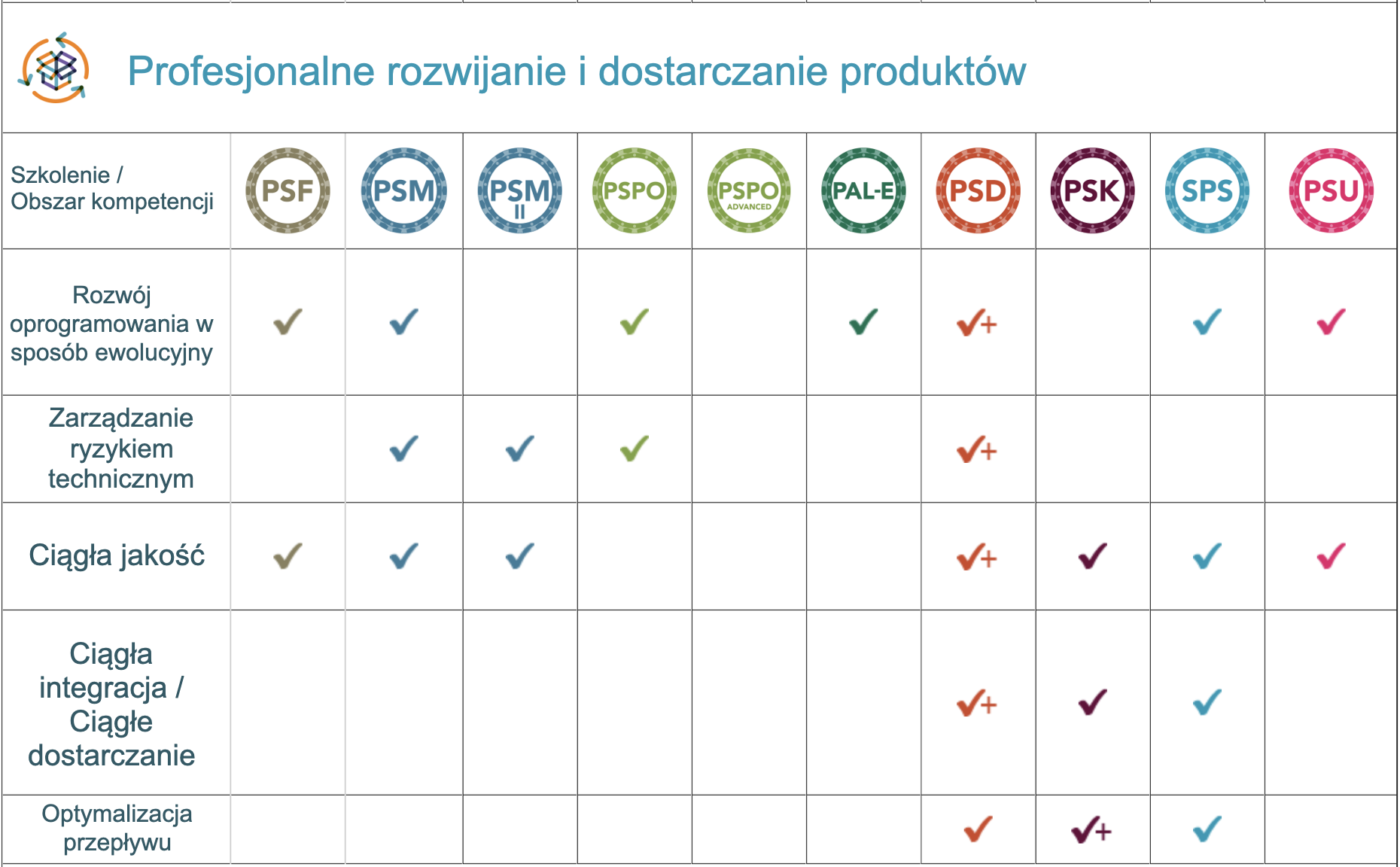 profesjonalne rozwijanie i dostarczanie produktów