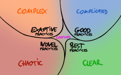 Framework Cynefin obszary